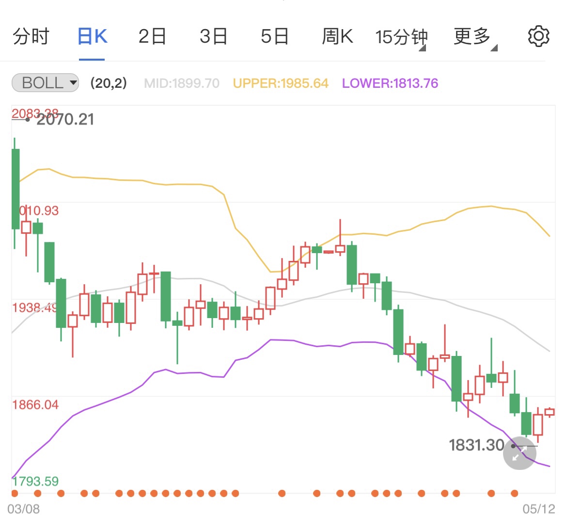 美联储升息预期突变 国际黄金短线反弹修正